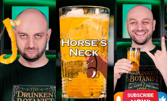 Horse’s Neck